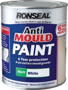 Ronseal Anti Mould Paint
